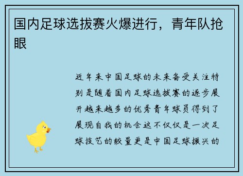 国内足球选拔赛火爆进行，青年队抢眼