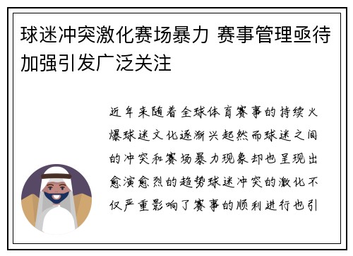 球迷冲突激化赛场暴力 赛事管理亟待加强引发广泛关注